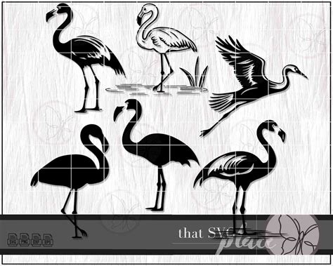 Flamingo SVG Flamingo Clipart SVG Flamingo SVG Bundle Pink - Etsy