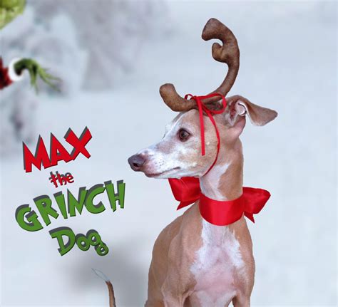 Max the Grinch Dog head antler for Christmas pets dog or by Olipra