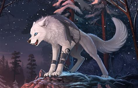 HD wallpaper: animals, Furry, wolf | Wallpaper Flare