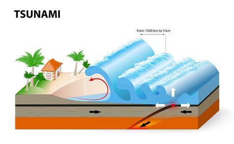 Reader question about proximate cause in tsunami incidents – Prof. Allan Manning's Blog