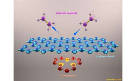 Graphene decharging and molecular shielding