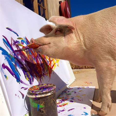 Meet Pigcasso, the Painting Pig Whose Artworks Sell for Thousands of ...