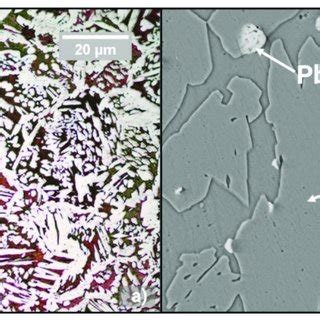 Brass microstructure observed with an optical microscope and polarized... | Download Scientific ...