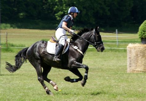 Horseback Riding - The Difference in Western vs. English Styles