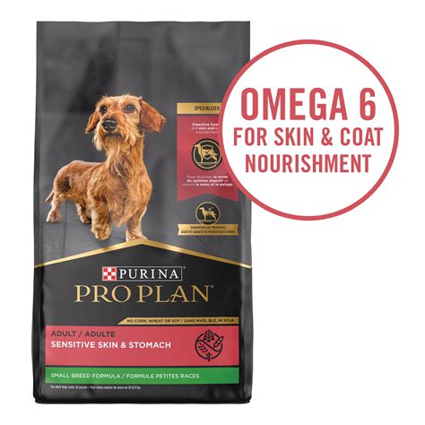 Upgrade Your Dog's Diet with These Top 10 Purina Salmon Dog Foods: A Comprehensive Review and ...