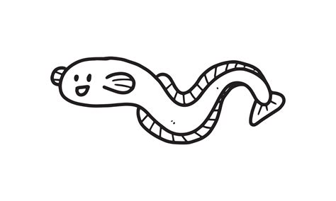 How To Draw Eels - Rowwhole3