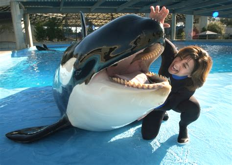 Killer whale dies at SeaWorld San Antonio