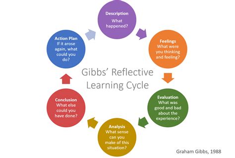 Gibbs Reflective Cycle - Assignment Help Australia