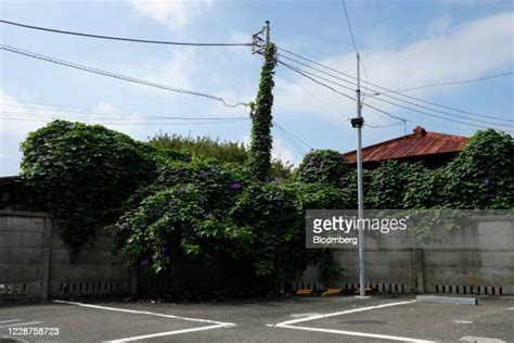 3,703 Concrete Parking Barriers Stock Photos, High-Res Pictures, and Images - Getty Images