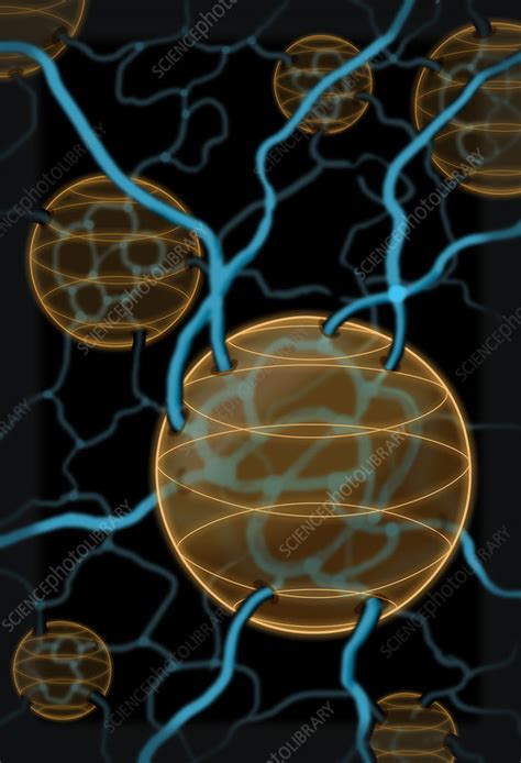 Loop Quantum Gravity, Illustration - Stock Image - C030/8258 - Science Photo Library