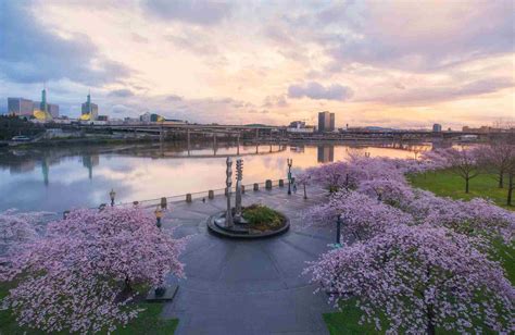 The 8 Best Tours of Portland, Oregon of 2021