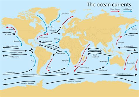 Ocean Current Worldmap Vector | Ocean current, Ocean currents map, World geography map