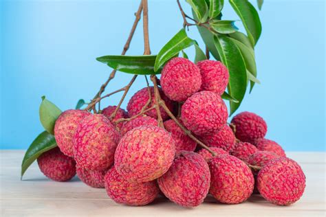 Lychee — California Tropical Fruit Tree Nursery