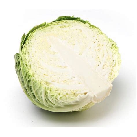 Cabbage Savoy