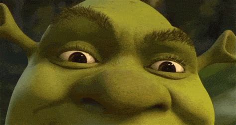 Shrek Gif - IceGif