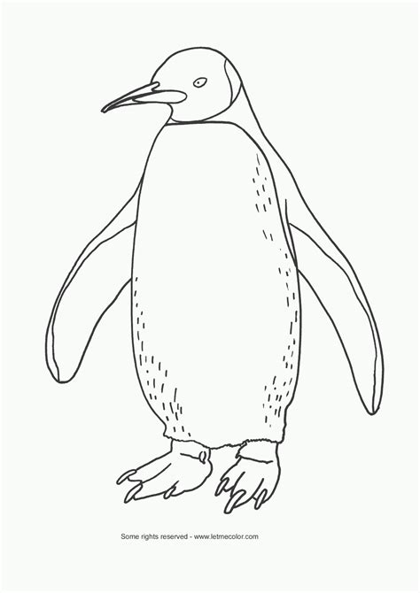 Emperor Penguin Coloring Pages - Coloring Home