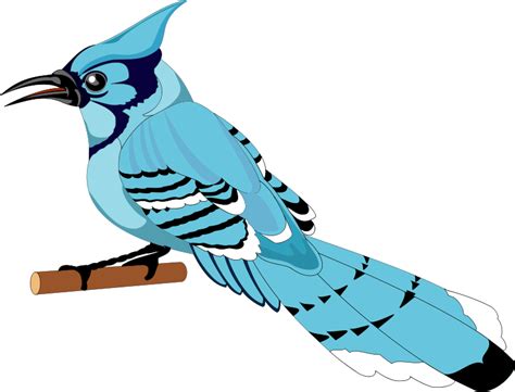 Free Free Bird Vector, Download Free Free Bird Vector png images, Free ClipArts on Clipart Library