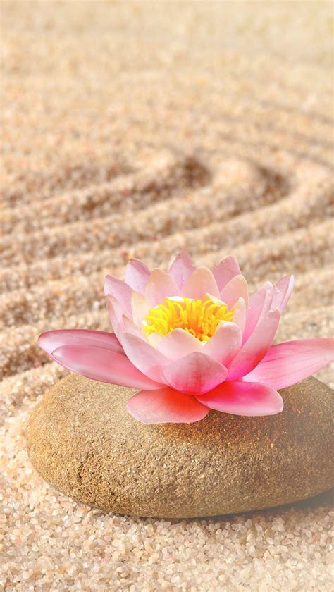 Lotus Zen Wallpapers - Top Free Lotus Zen Backgrounds - WallpaperAccess