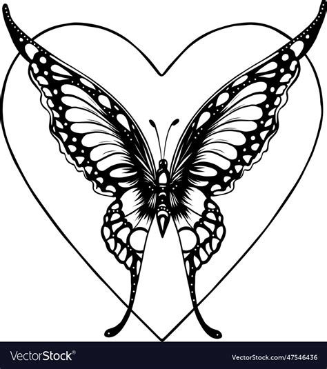 Butterfly isolated on white Royalty Free Vector Image