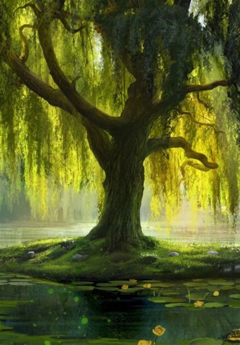 Transcend Beautiful Landscapes, Beautiful Places, Willow Tree Art, Landscape Photography, Nature ...