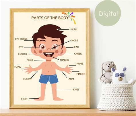 Body Parts Poster, Educational Posters for Toddlers, Printable Wallart, Educational Prints ...