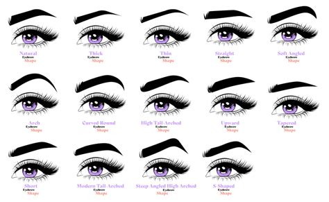 Thick Eyebrows Shapes Chart