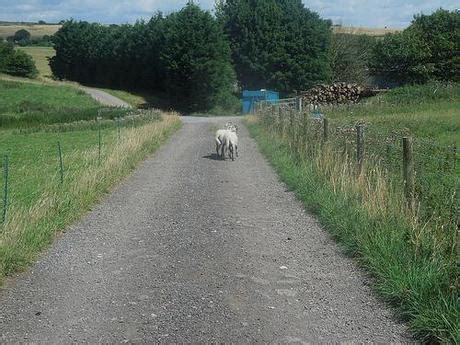 The Mendip Hills - Paperblog