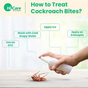 Cockroach Bite : Check Symptoms, Treatment and Prevention Tips