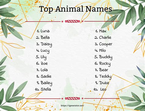 Animal Name Generator | 900+ Animal Name Ideas