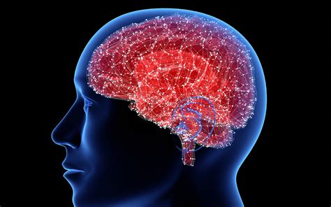 Updated Brain Cell Map Connects Various Brain Diseases to Specific Cell Types