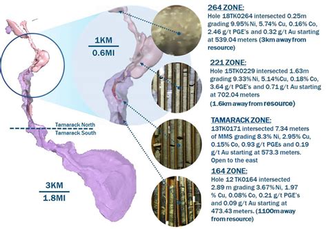 Talon Metals to Commence Geophysical Program at the Tamarack Project to ...