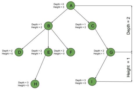 Difference Between Tree Depth and Height | Baeldung on Computer Science