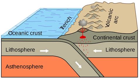 How are mid-ocean ridges and deep-ocean trenches related to plate tectonics? | Socratic