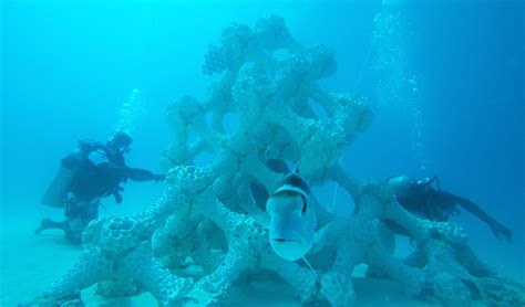 A 3D printed coral reef has been successfully installed in the Indian Ocean - 3Dnatives