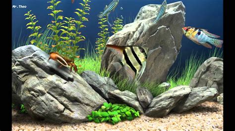 Dream aquarium screensaver very realistic screensavers – menbama