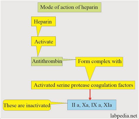 Anticoagulant Commonly Used With an Antiglycolytic Agent