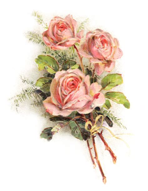 12+ Free Vintage Rose Images | Vintage roses, Background vintage, Rose images