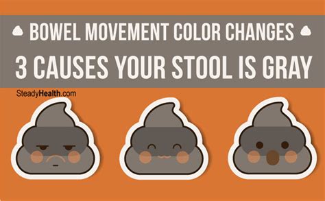 Bowel Movement Color Changes: 3 Causes Your Stool Is Gray | Gastrointestinal Disorders articles ...