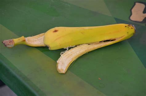 Banana Peel Free Stock Photo - Public Domain Pictures