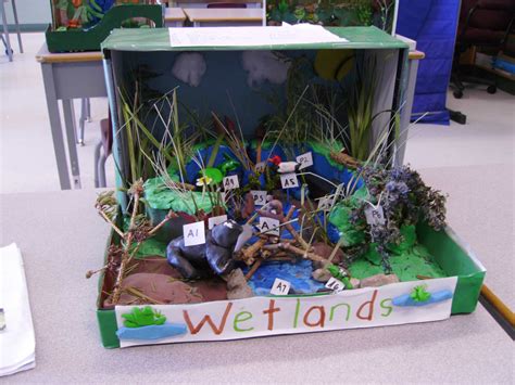 Wetlands Diorama School Project