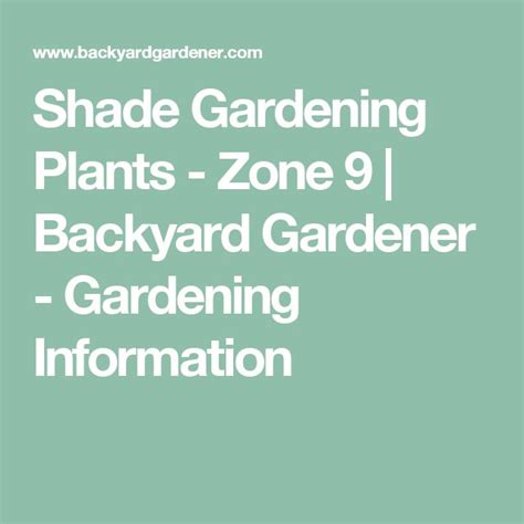 Shade Gardening Plants - Zone 9 | Backyard Gardener - Gardening Information | Shade garden ...