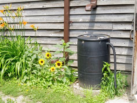 How to Install a Rain Barrel Pump | DoItYourself.com