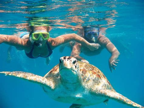 The Best Oahu and Honolulu Snorkeling Tours