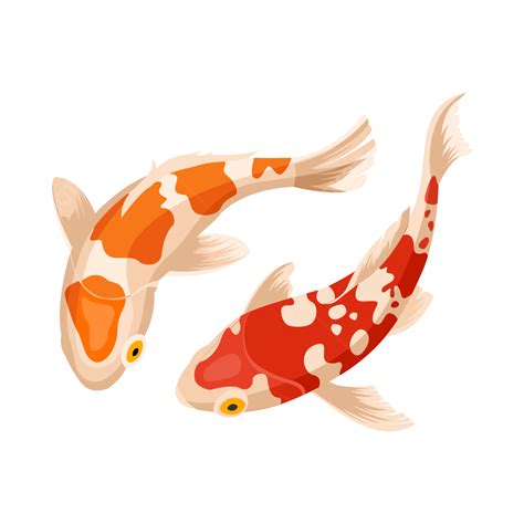 Koi Fish Koi Vector Png Transparent Clipart Image And Psd File For | The Best Porn Website