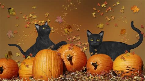 Halloween Cat Desktop Wallpapers - Top Free Halloween Cat Desktop Backgrounds - WallpaperAccess