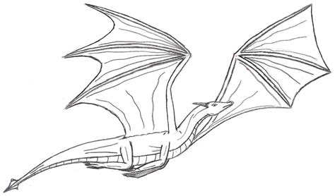 Flying Dragon-Outline by Denodon on DeviantArt