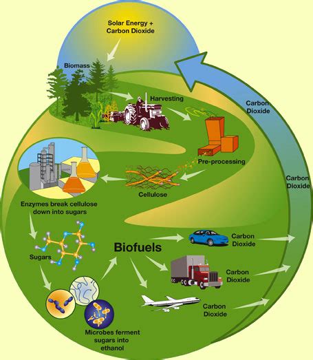 Biofuel advance | The Why Files