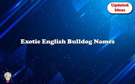 Exotic English Bulldog Names - Updated Ideas