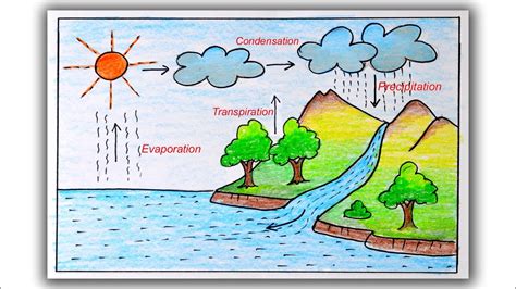 31 Draw Water Cycle And Label - Labels Design Ideas 2020