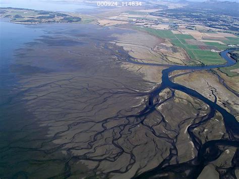 The mosaic of deltas and other estuarine ecosystems in Puget Sound | Encyclopedia of Puget Sound